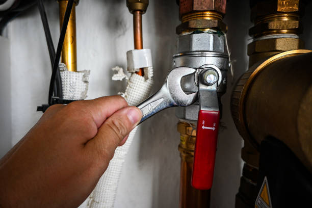 Best Clogged Drain Plumber  in Lititz, PA
